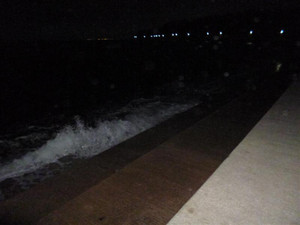 P1000117_medium