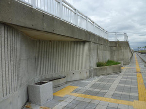 P1020256_medium