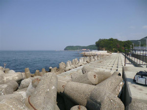 P1000163_medium