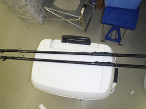 Pa080341_medium