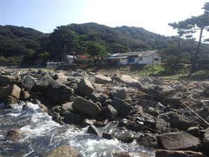 Medium_11