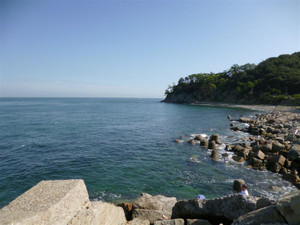 P1000200_medium_3