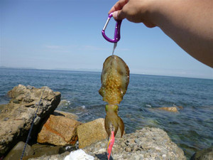 P1000211_medium_2