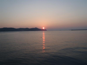 Pb010377_medium