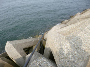 P1000263_medium