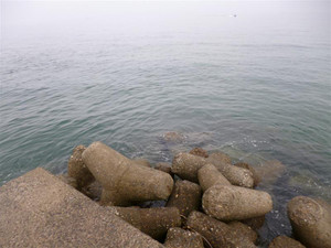 Medium_3