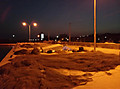 Medium_8