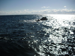 952_medium_2
