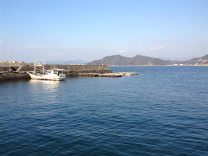 Img_2761_small