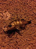 Photo_4