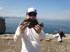 Img_20131010_130657999_medium
