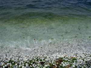 Pict5507_medium