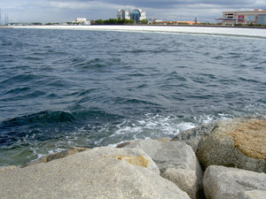 Pict5510_medium