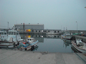 Cimg1709_medium