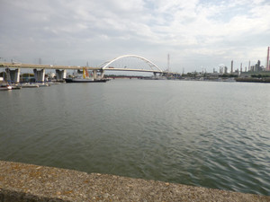 P1000605_medium_2