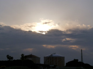P1000607_medium_2