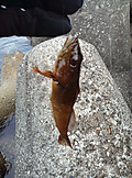 Photo_7