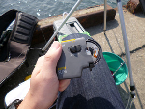 P1000562_medium