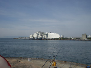 Cimg3835_small
