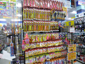 P1000706_medium