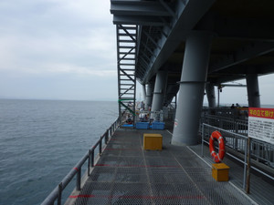 P1020446
