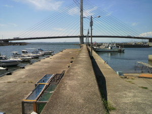 P1010035