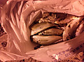 Medium_4