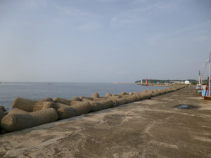 P1000804_medium