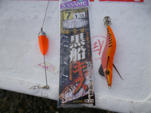 P1000807_medium