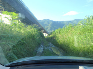 P8070395_medium