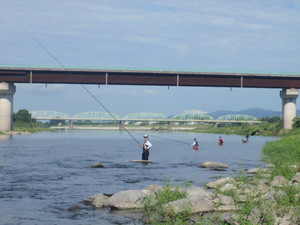 P8070432_medium_2