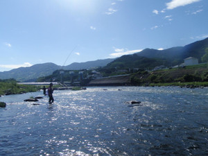 P8070437_medium