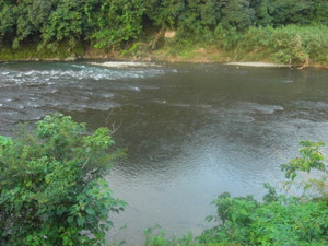Cimg5246