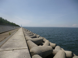 P1000874_medium_2