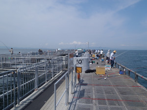 P9020645