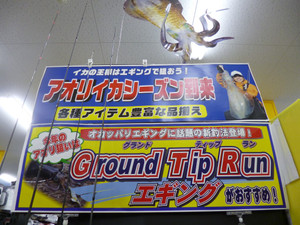 P1000928_medium