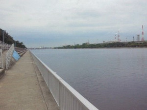 Nec_0022_medium