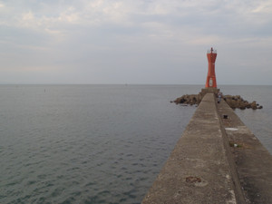 P9100660