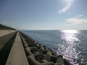 P1000931_medium