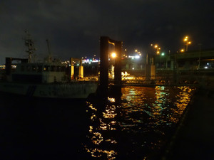 Dsc01105_medium