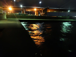 Dsc01107_medium