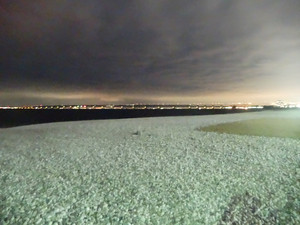 Dsc01122_medium