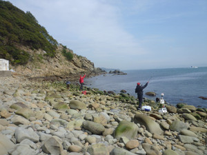 P1020759_medium_2