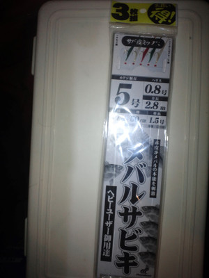Photo_3