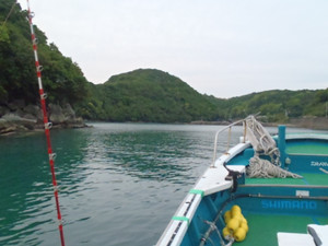 P4230304