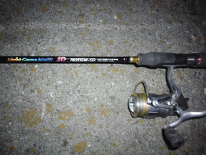 Photo_3