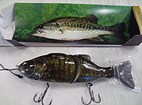Img00418_2