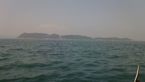 Nec_0103_medium