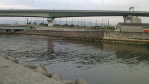 Nec_0109_medium