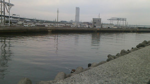 Nec_0110_medium